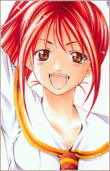 Hashiba, Miki