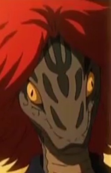 Mongoose, Habuko